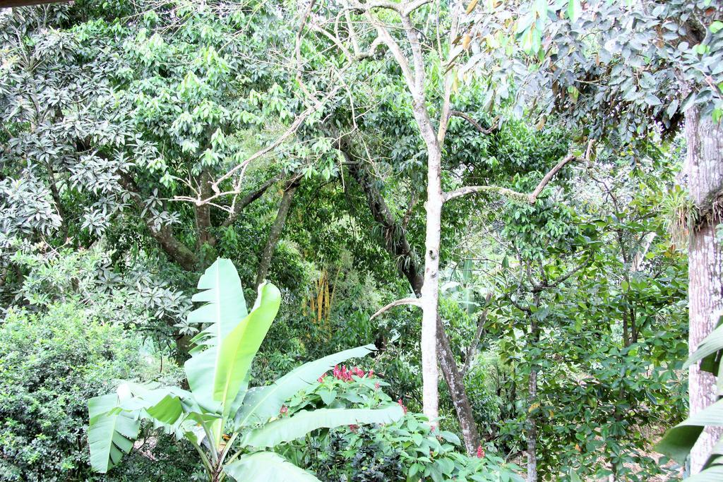 Hotel Monte Real La Fortuna Eksteriør bilde